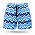 Diagonal Shorts